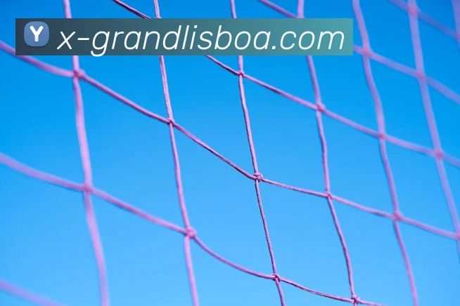 App Interface Preview